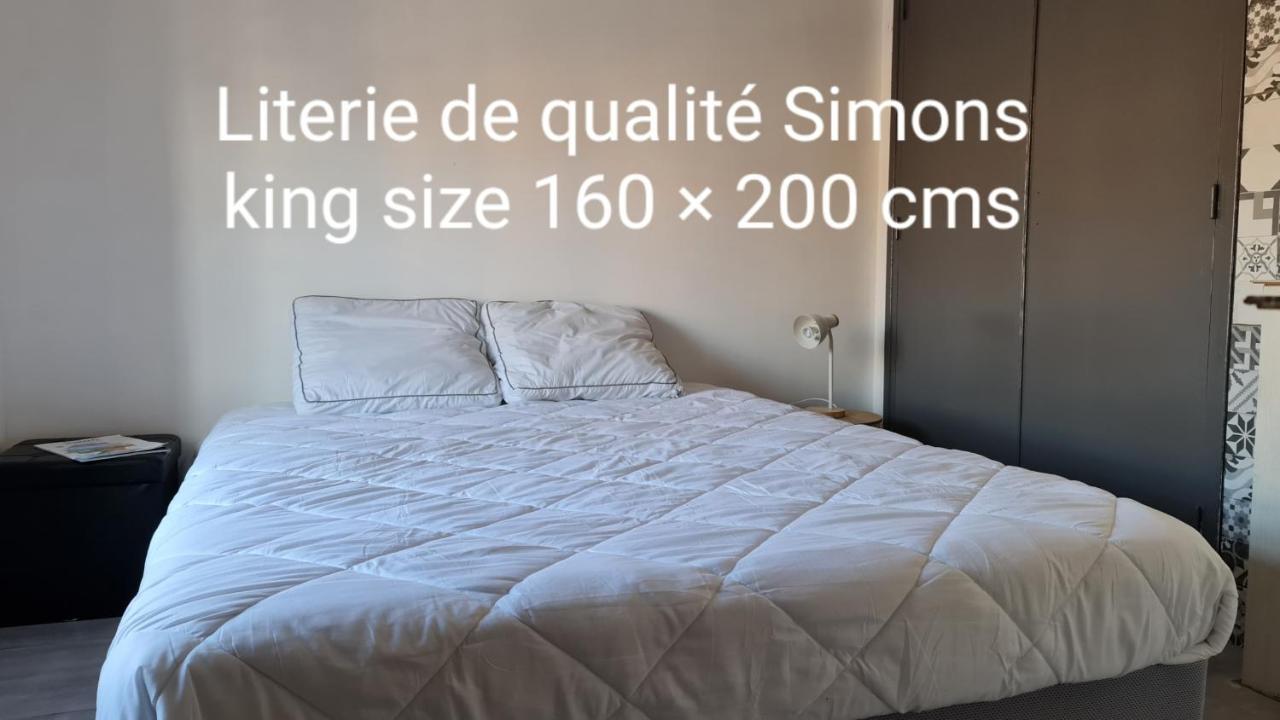 Le Studio De La Republique Agde Esterno foto